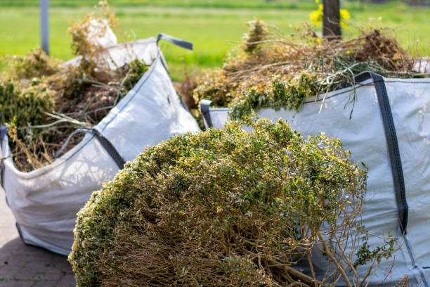 Best Junk Removal for Businesses  in Big Rapids, MI